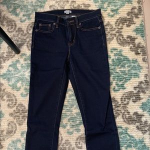 NWOT Size 24 Petite J. Crew Skinny Jeans